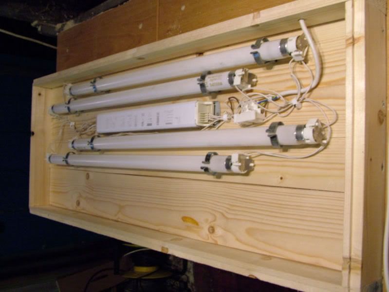 DSCF3878.jpg