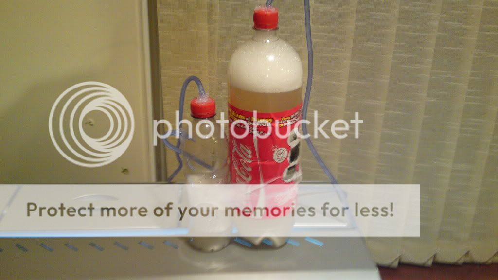 22022010018.jpg