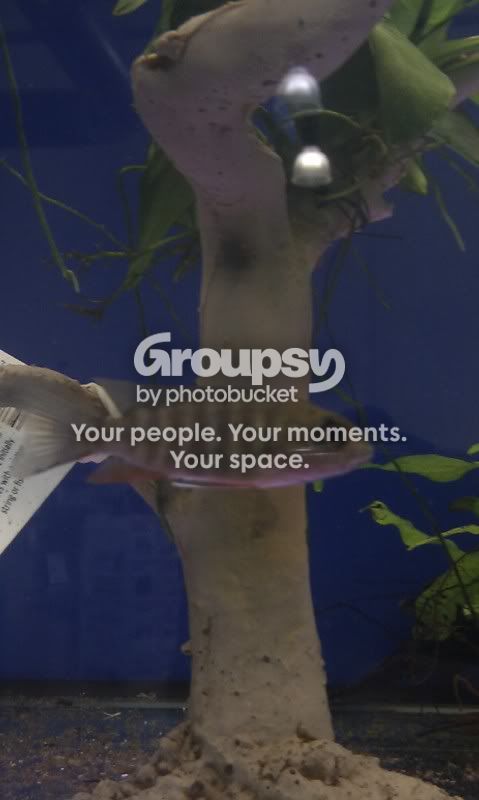 IMAG0444.jpg