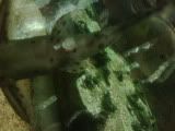 IMG00529-20090329-1900.jpg