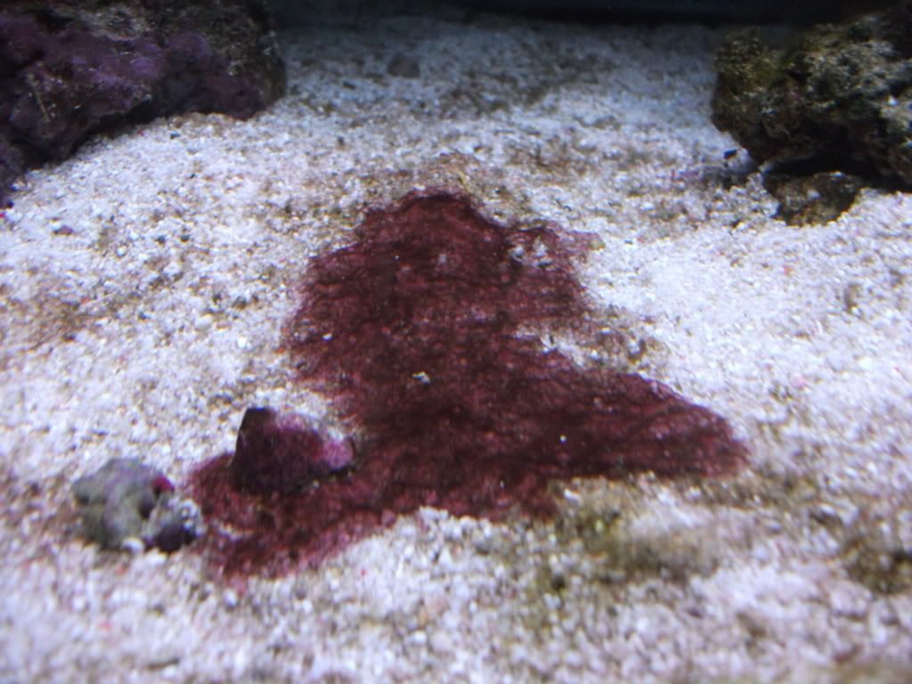 DSCF0618.jpg