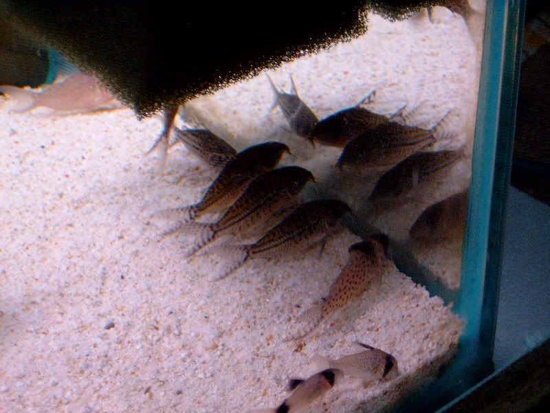 13d3337e.jpg
