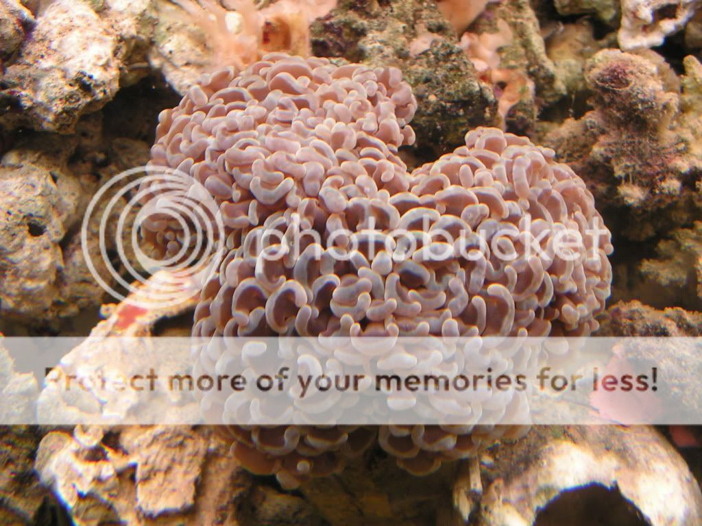 PICT0417.jpg