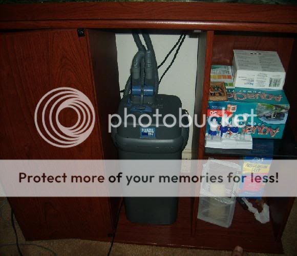 futurefluval.jpg