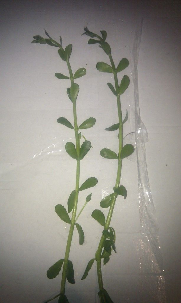 IMAG0292.jpg