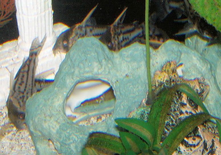 8-16-2007108-2.jpg