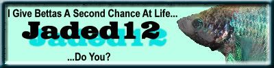 secondchanceatlifesiggy.jpg