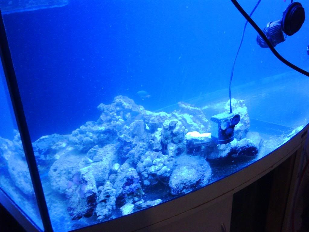 IMG00107-20090420-0050.jpg