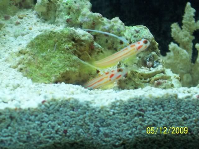 100_6299.jpg