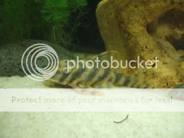 DSCF0153.jpg