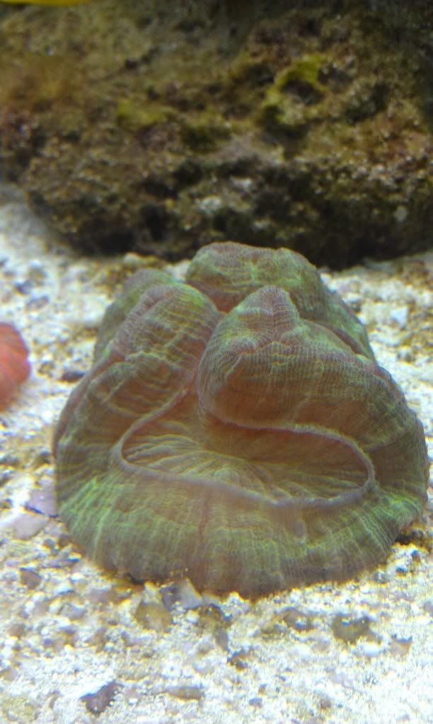 IMAG0607.jpg