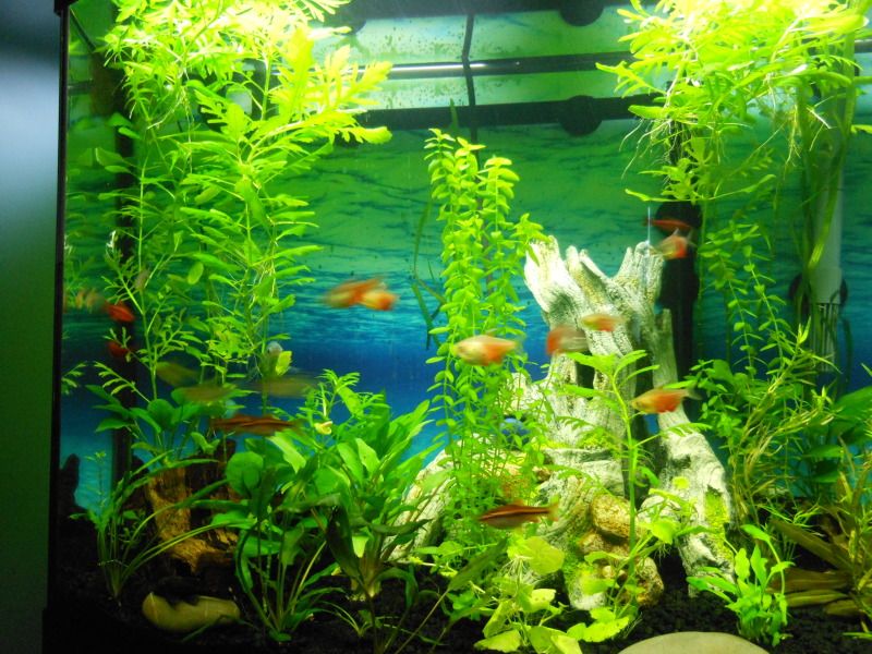 DSCN1573.jpg