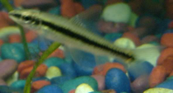 2005_0130_204455.jpg