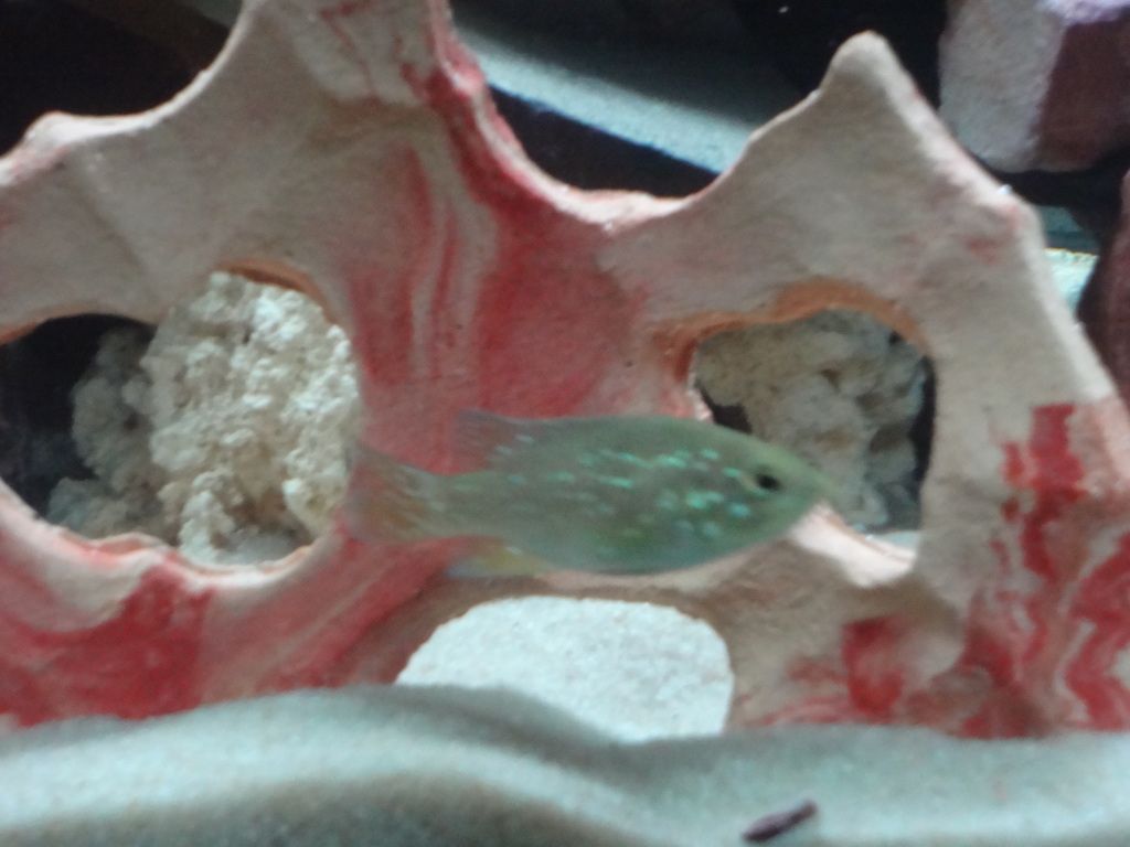 e59a604b.jpg