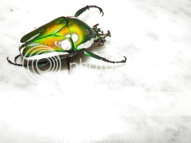 20120229_9.jpg