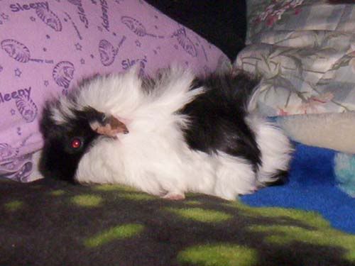 000_0493.jpg