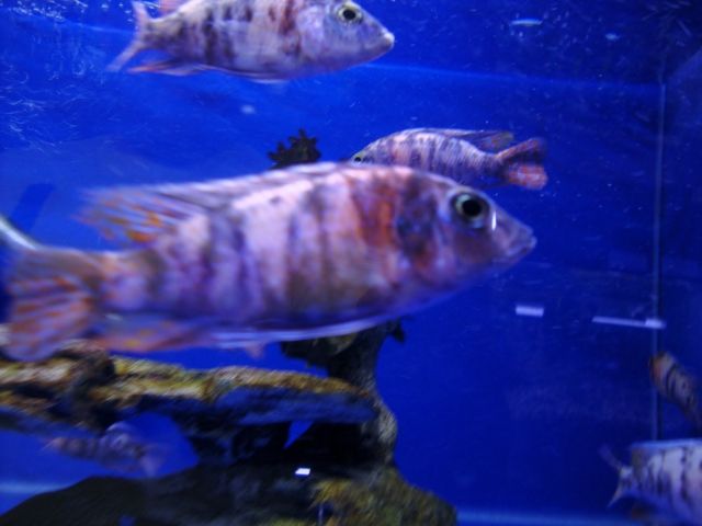 DSC01356.jpg