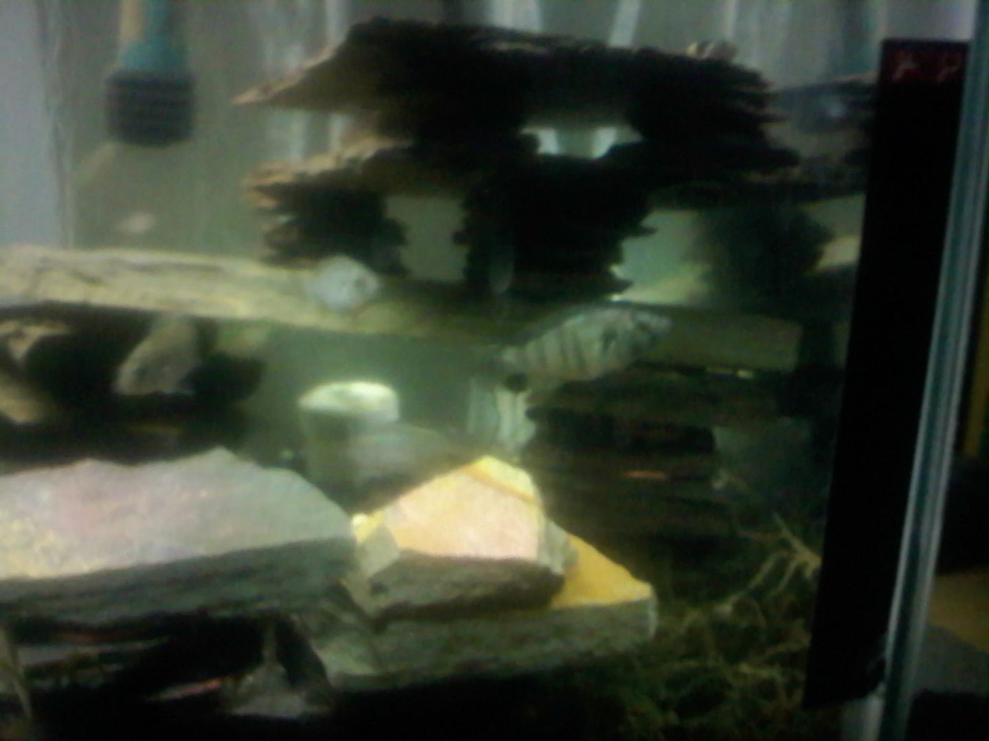 0520090101a.jpg