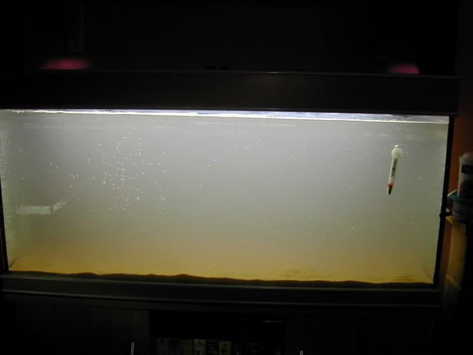 NewTank.jpg