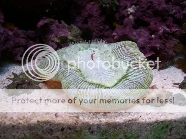 Picture044.jpg