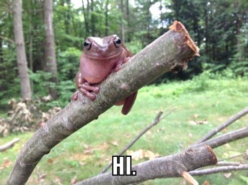 image.jpg