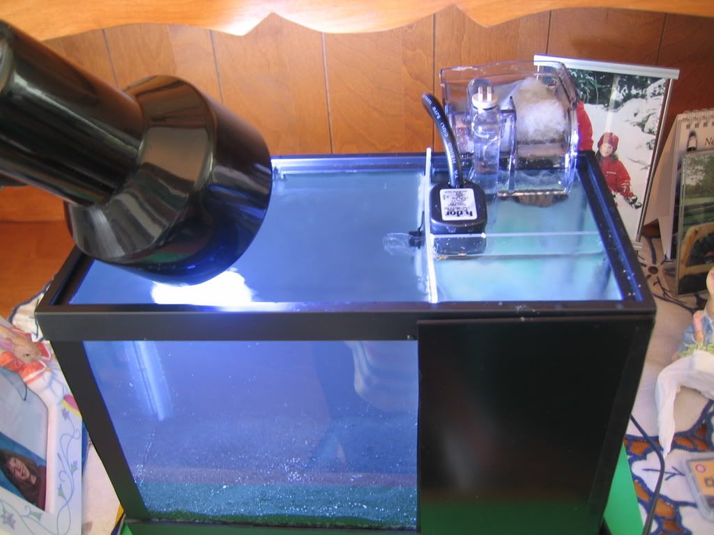 100_0047.jpg