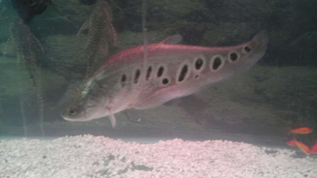 IMAG0256.jpg