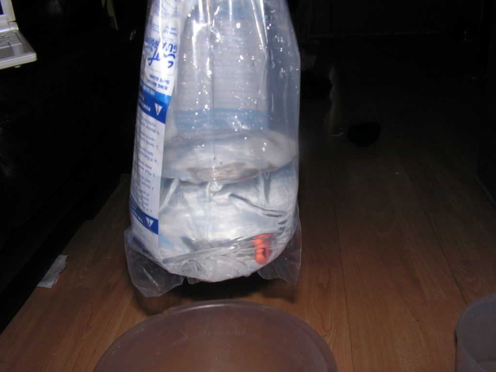 PICT0567.jpg