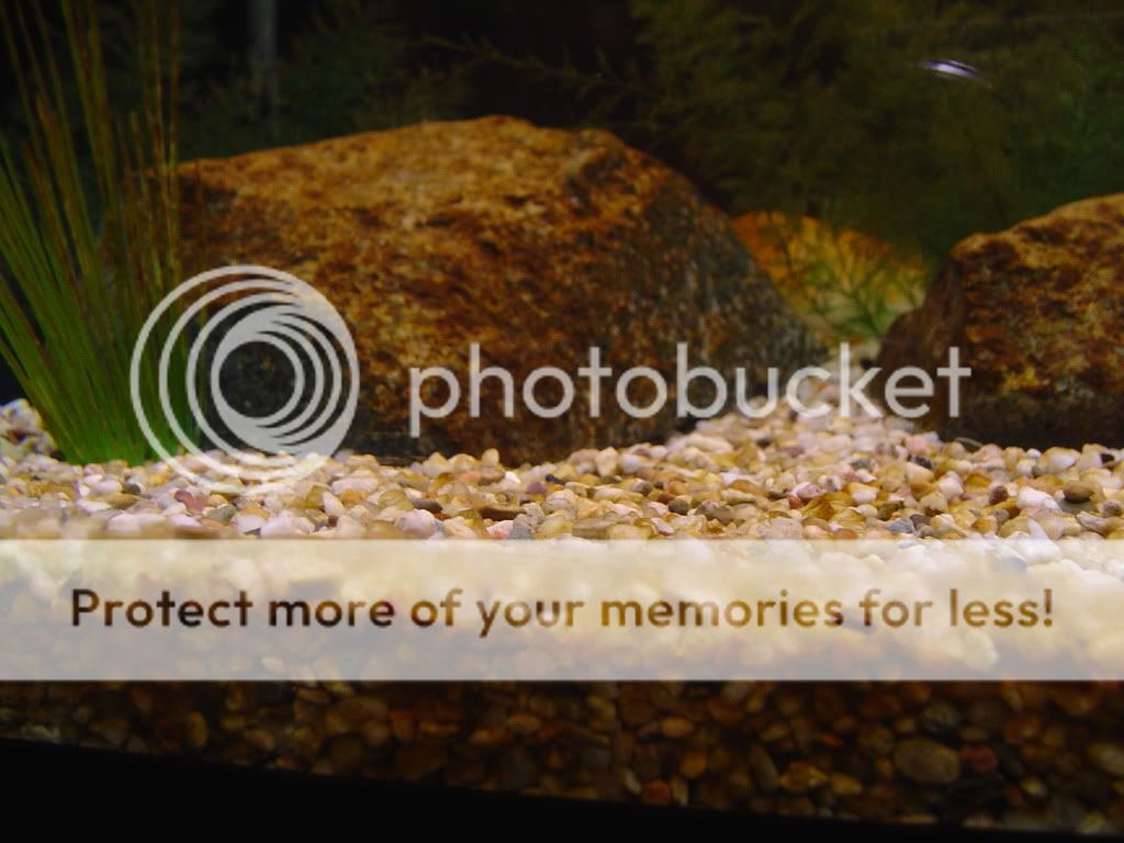 DSC00914.jpg