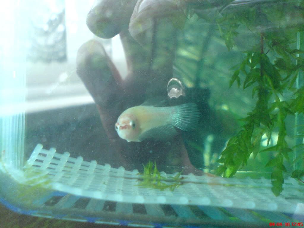 Picture036.jpg