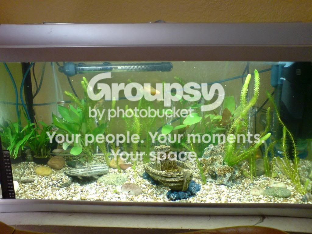 DSC00005.jpg