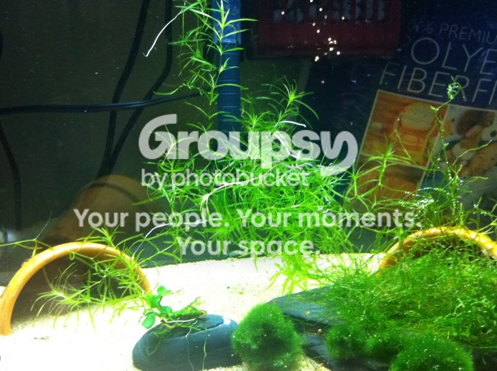 photo21.jpg
