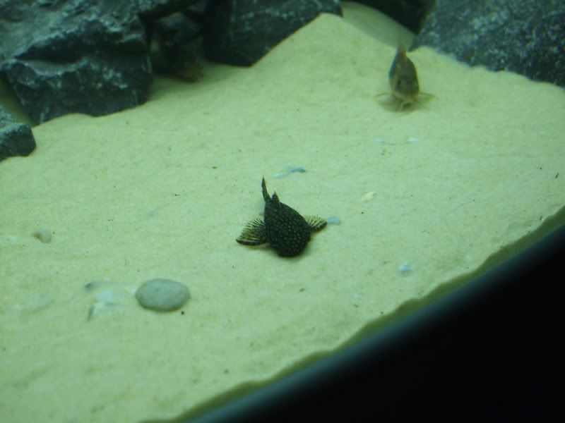 DSCF2182.jpg