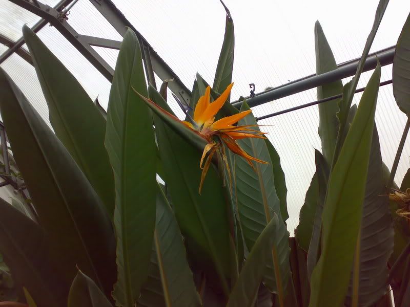 23032007224.jpg