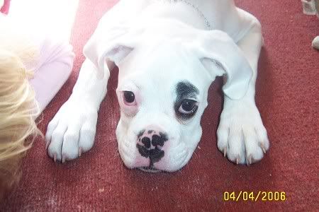 Picture009.jpg