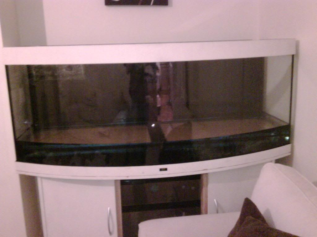 IMG00074-20090418-2041.jpg