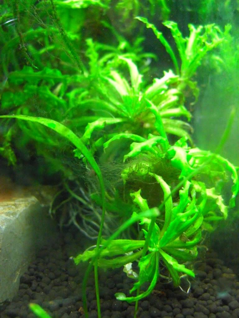 20120426_007.jpg