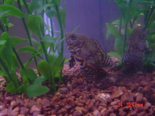 DSC03055.jpg