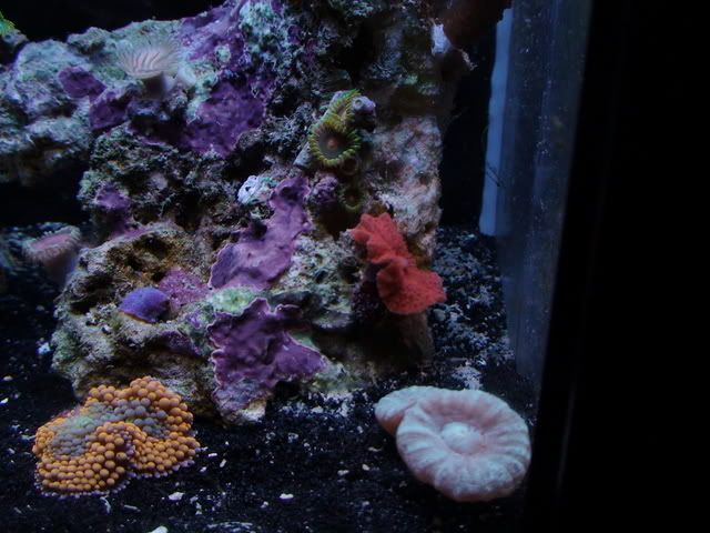 DSC01121.jpg