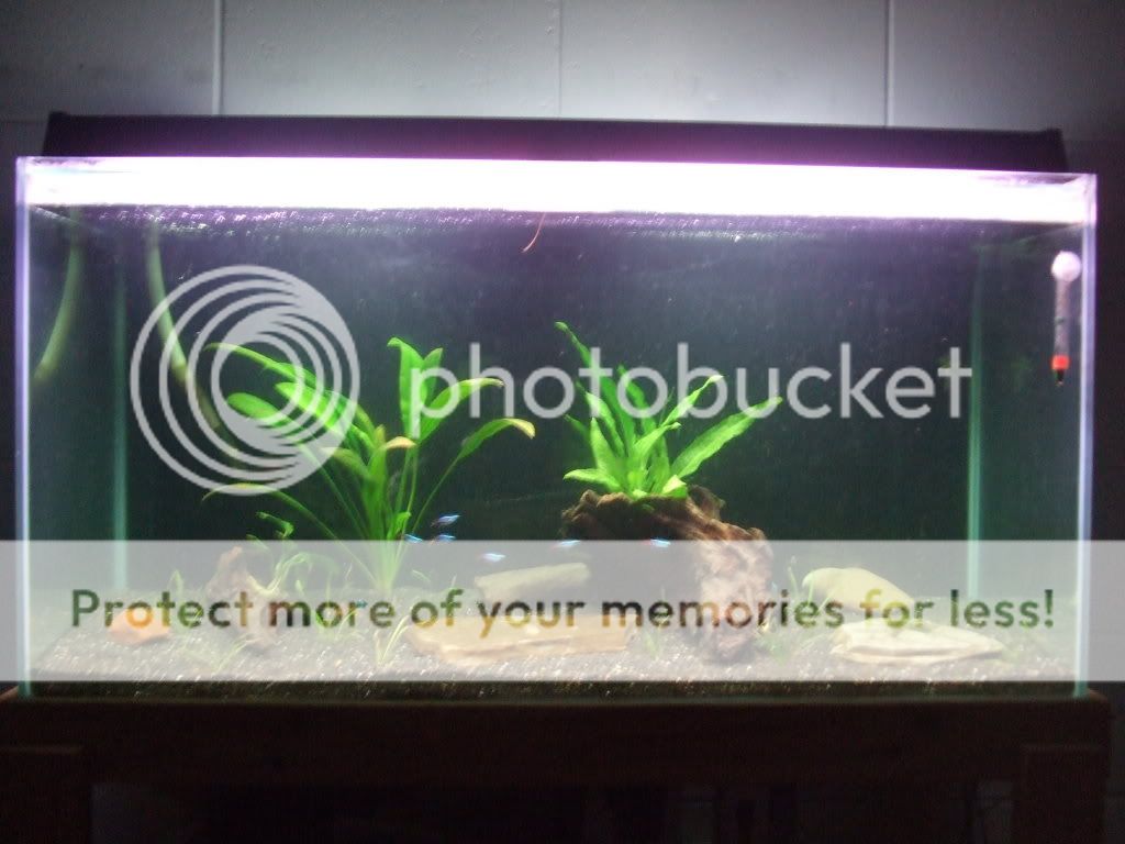 DSCF4604.jpg