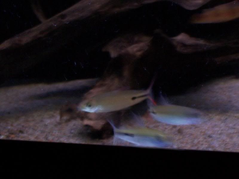 100_6065.jpg
