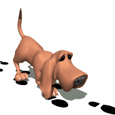af8.gif