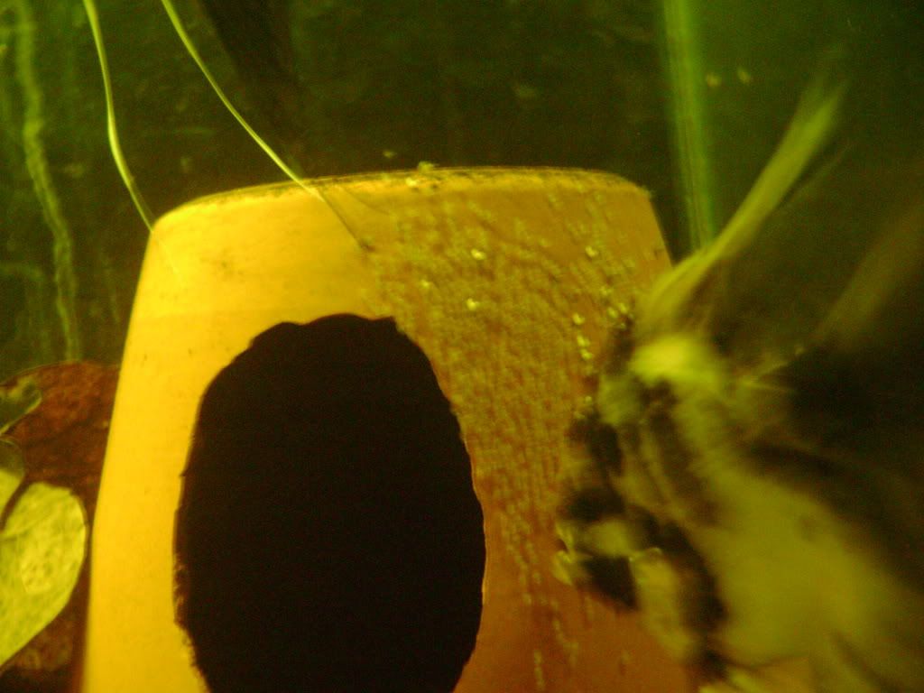 004-17.jpg