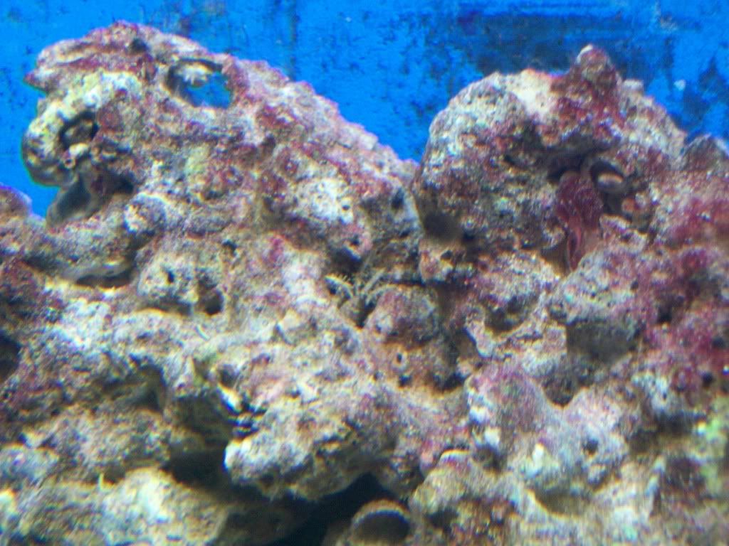 100_0681.jpg