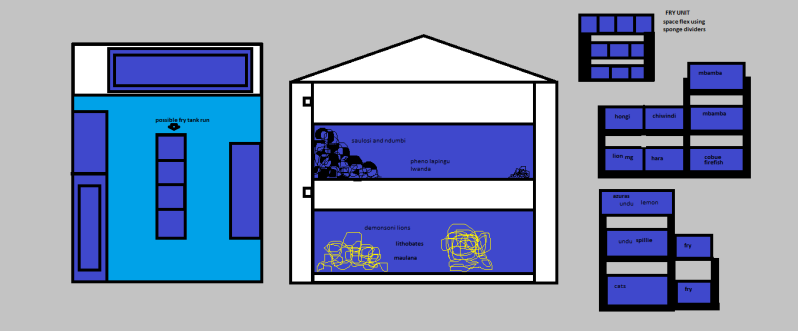 setups.png