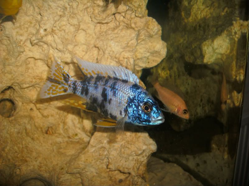 GEDC0704.jpg