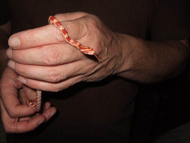 0801240039.jpg
