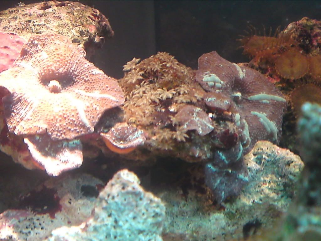 P25-05-10_1302.jpg