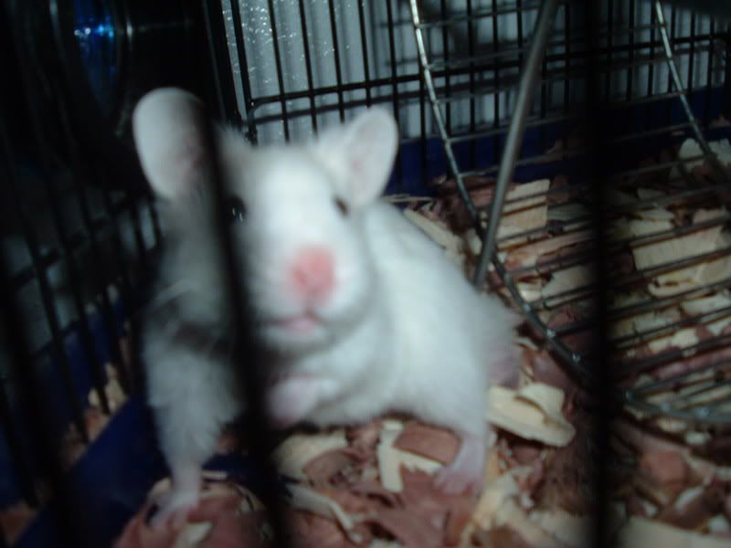 jimmyandsquishy004.jpg