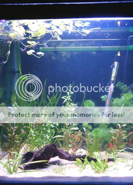 tank_left_30.05.jpg